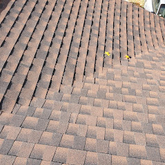 Shingle Roof Tiles